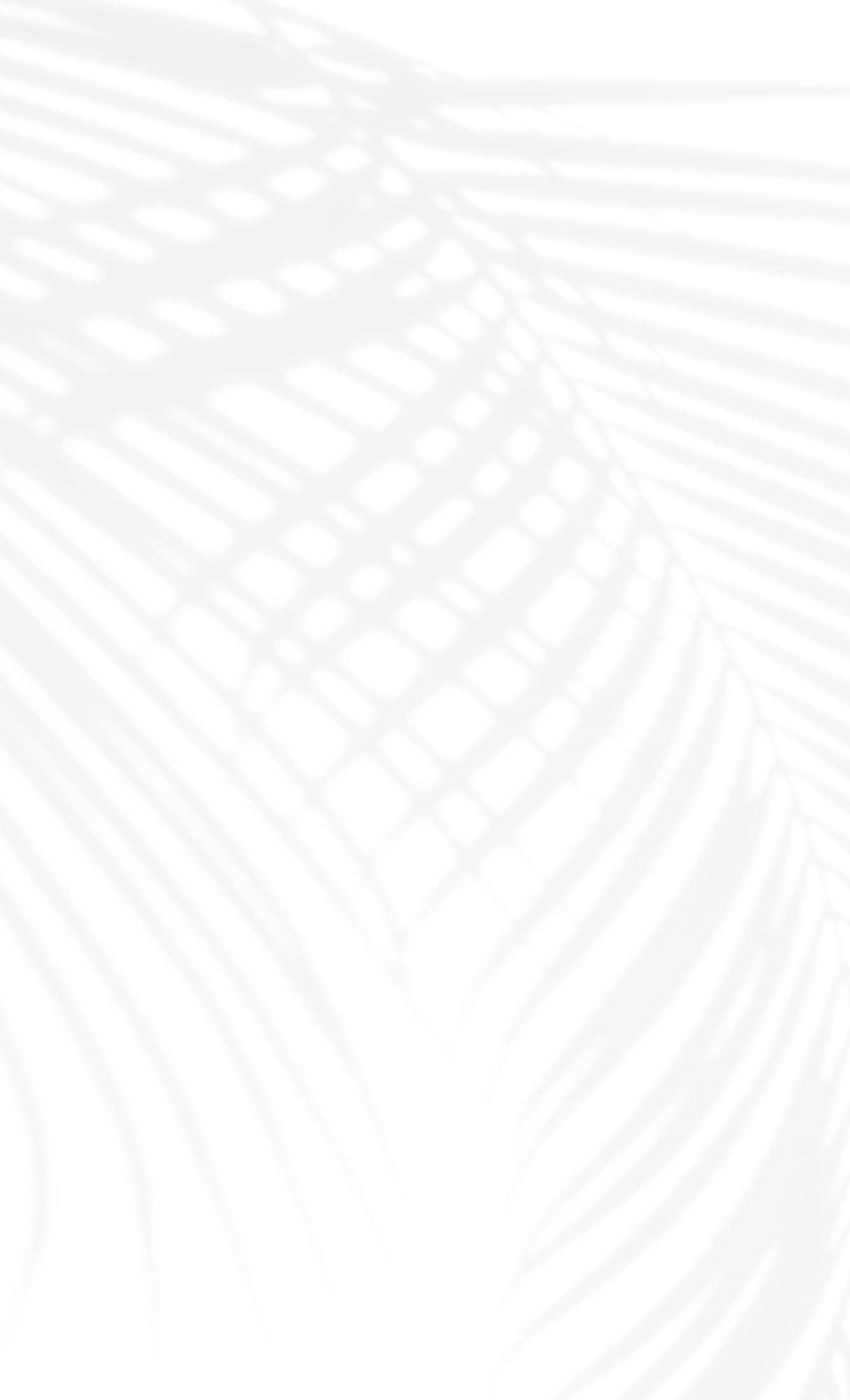 Shadows of palm leaves on a light background