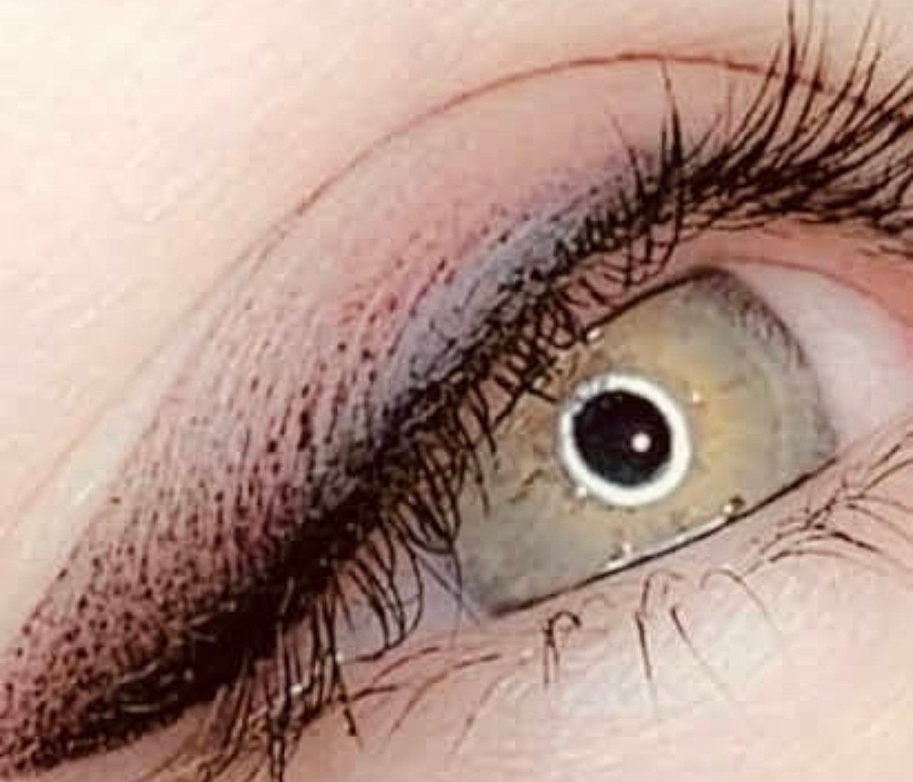 Close-up of a beautiful, colorful eye.